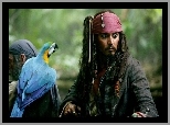 papuga, piraci_z_karaibow_2, Johnny Depp