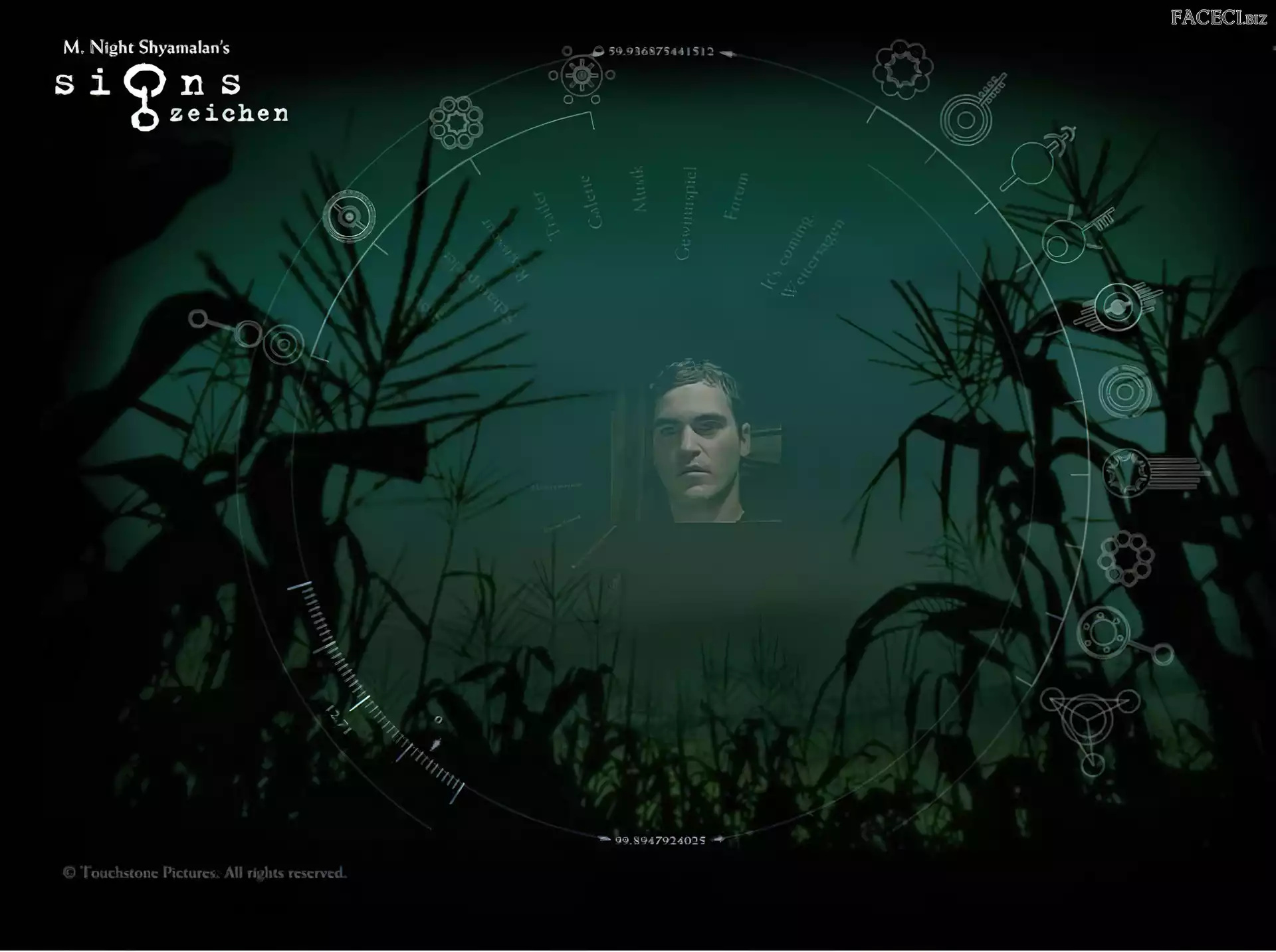 Joaquin Phoenix, twarz